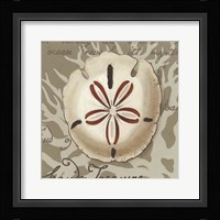 Seaside Sonnet III Framed Print