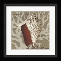 Seaside Sonnet IV Framed Print