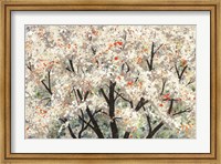 Pear Blossoms in Spring Fine Art Print