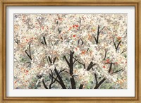 Pear Blossoms in Spring Fine Art Print