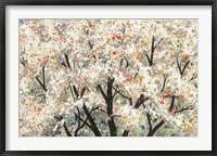 Pear Blossoms in Spring Fine Art Print