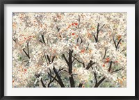 Pear Blossoms in Spring Fine Art Print