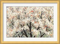 Pear Blossoms in Spring Fine Art Print