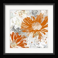 Upsy Daisy I Framed Print