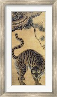 Tiger Under the Pine Tree Fine Art Print
