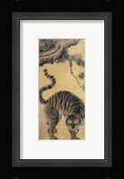 Tiger Under the Pine Tree Fine Art Print