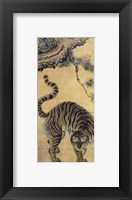 Tiger Under the Pine Tree Fine Art Print