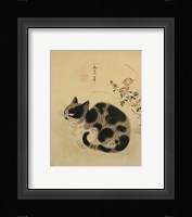 Autumn Cat in a Garden with Chrysanthemum Fine Art Print