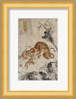 Family of Tigers Fine Art Print