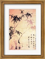 Sin Wi, Bamboos Fine Art Print