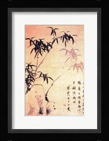 Sin Wi, Bamboos Framed Print