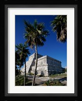 Palm trees near El Castillo Fine Art Print