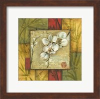 Asian Orchid Montage I Fine Art Print