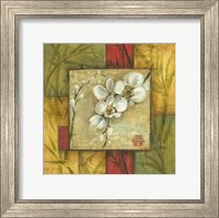 Asian Orchid Montage I Fine Art Print