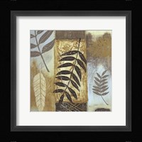 Patterns of Nature I Fine Art Print