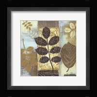 Patterns of Nature II Fine Art Print