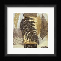 Patterns of Nature III Fine Art Print