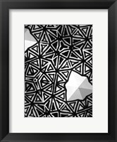 Buckminster I Fine Art Print