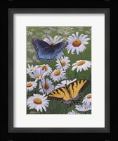 Butterflies & Daisies Fine Art Print