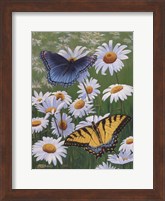 Butterflies & Daisies Fine Art Print