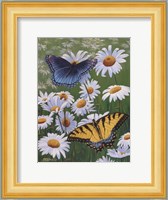 Butterflies & Daisies Fine Art Print