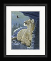 Passing Glance Fine Art Print