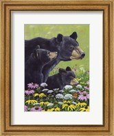 Black Bears Fine Art Print