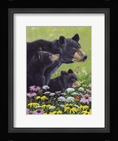 Black Bears Fine Art Print