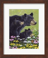 Black Bears Fine Art Print