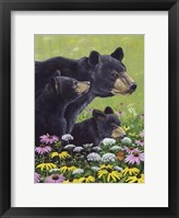 Black Bears Fine Art Print