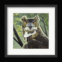 Great Horned Owl Fine Art Print