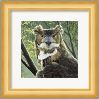 Great Horned Owl Fine Art Print