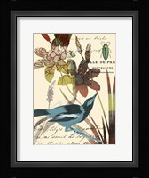 Exotic Blossom I Framed Print