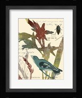 Exotic Blossom II Framed Print