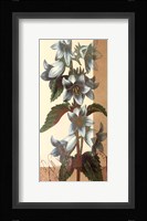 French Blue I Fine Art Print