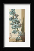French Blue III Fine Art Print