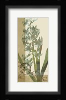 French Blue IV Framed Print