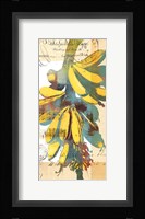 Cortez Gold I Fine Art Print