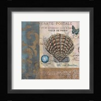 Botticelli Shell I Framed Print