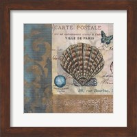 Botticelli Shell I Fine Art Print