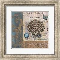 Botticelli Shell I Fine Art Print