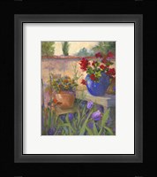 Geranium Awakening Fine Art Print