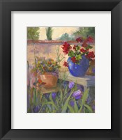 Geranium Awakening Fine Art Print