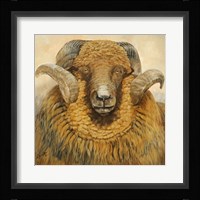 Pharaoh Fine Art Print