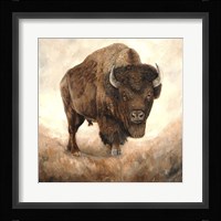 Been There, Done That Fine Art Print