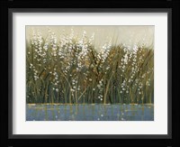 By the Tall Grass I Framed Print