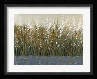 By the Tall Grass II Framed Print