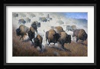 Thunder in the Dust Fine Art Print