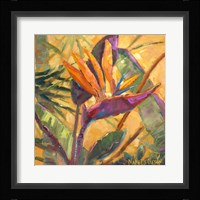 Splash of the Tropics I Fine Art Print