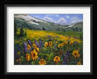 Sierra Awakenings II Fine Art Print